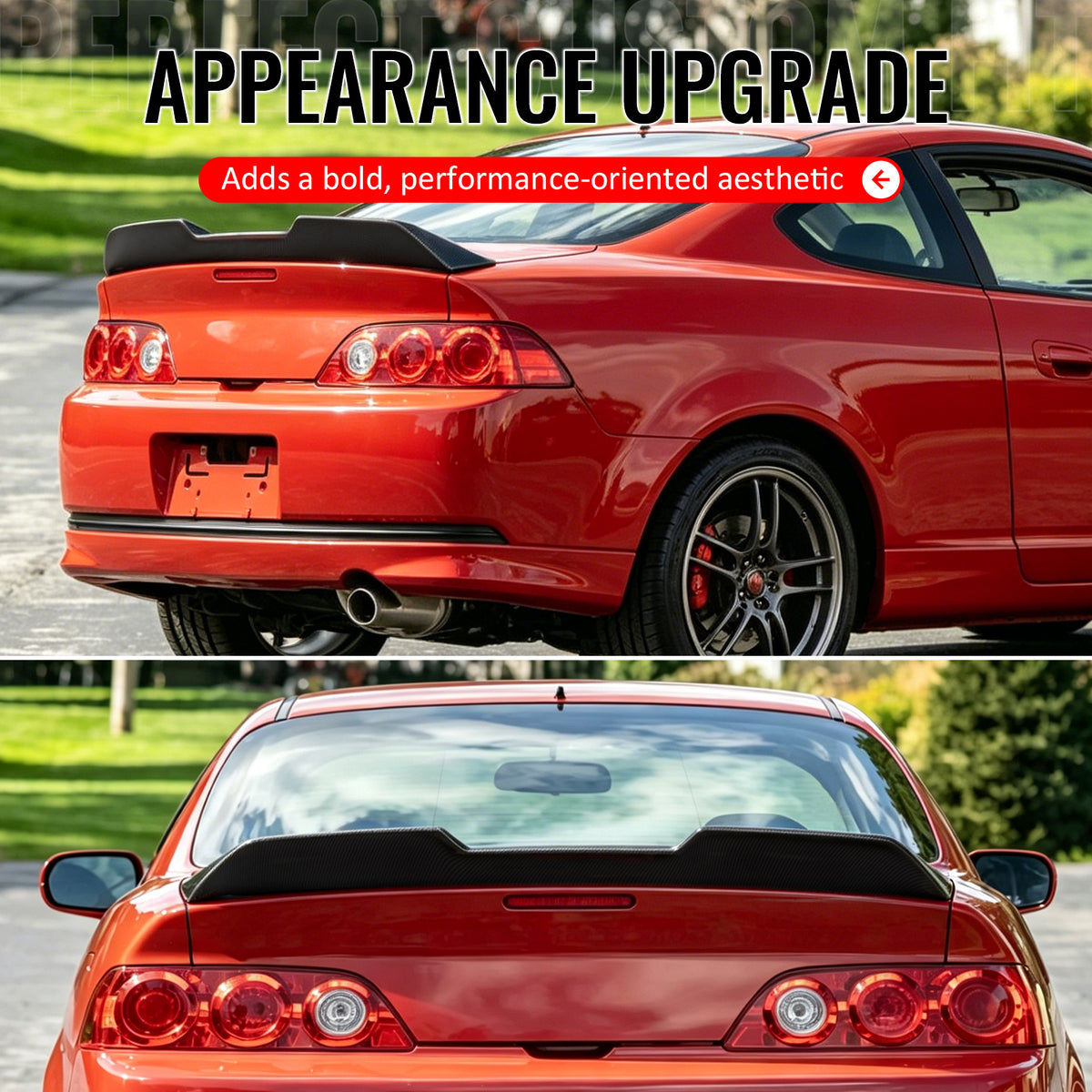 Fits 02-06 Acura RSX JDM Duckbill Rear Trunk Spoiler Wing Carbon Fiber Print ABS
